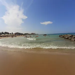 Girasole , Llido Degli Estensi Italia
